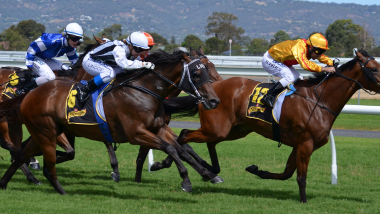 Professional horse race